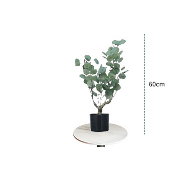 Sale 60cm Simulation Eucalyptus with 3 leaves